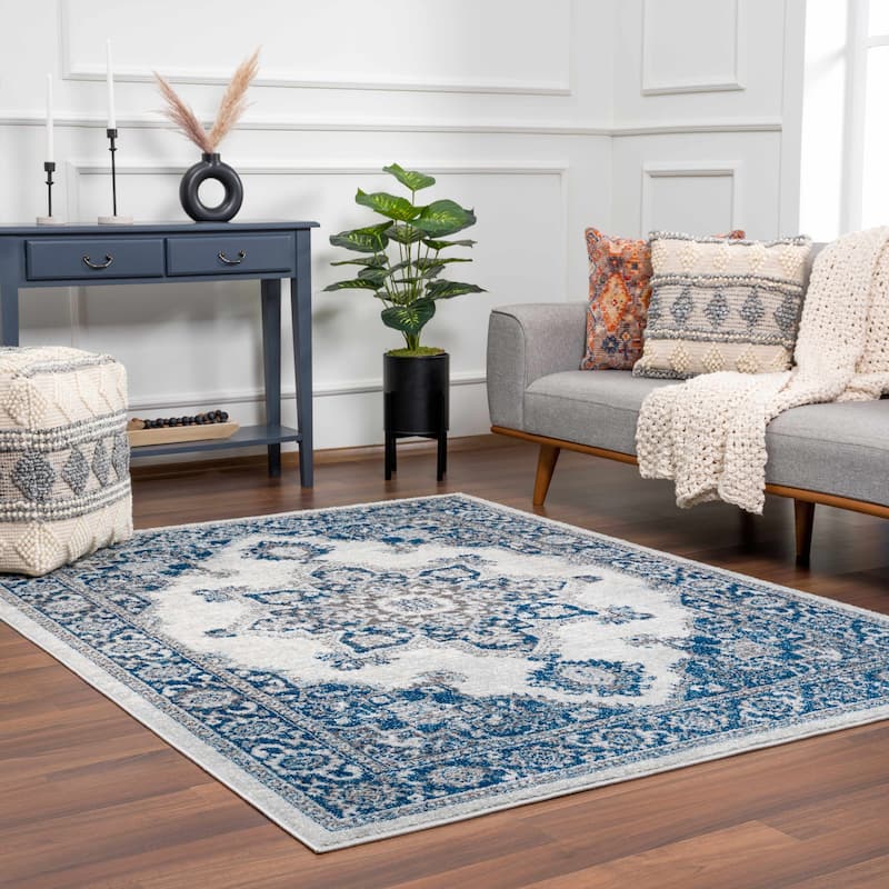 Hauteloom Istanbul Collection Vintage Oriental Traditional Medallion Area Rug