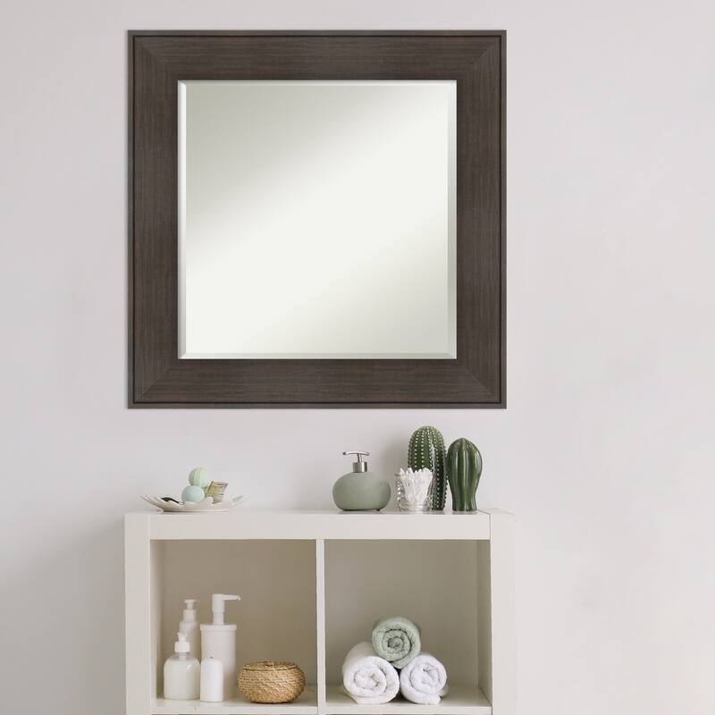 Beveled Bathroom Wall Mirror - William Frame
