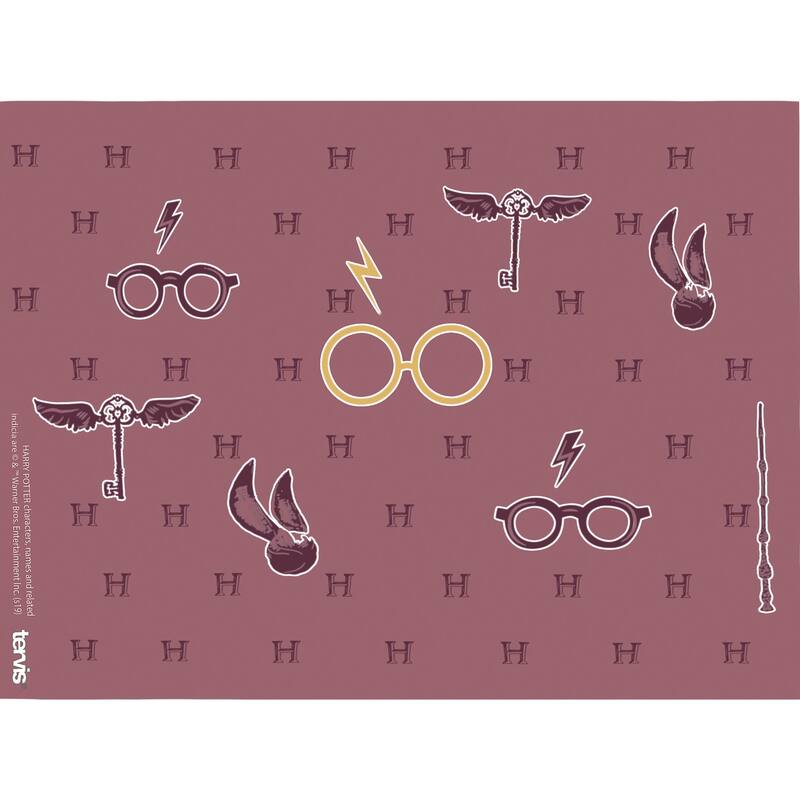 Tervis Harry Potter - Maroon and Gold Glasses Made in USA Double Walled Insulated Travel Tumbler, Classic