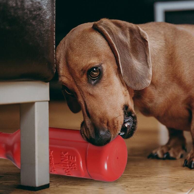 VECELA Dog Chew Toy Medium Dogs, Interactive Toys for Dogs Training Dental Care Dog Toys, Beer Bottle Design