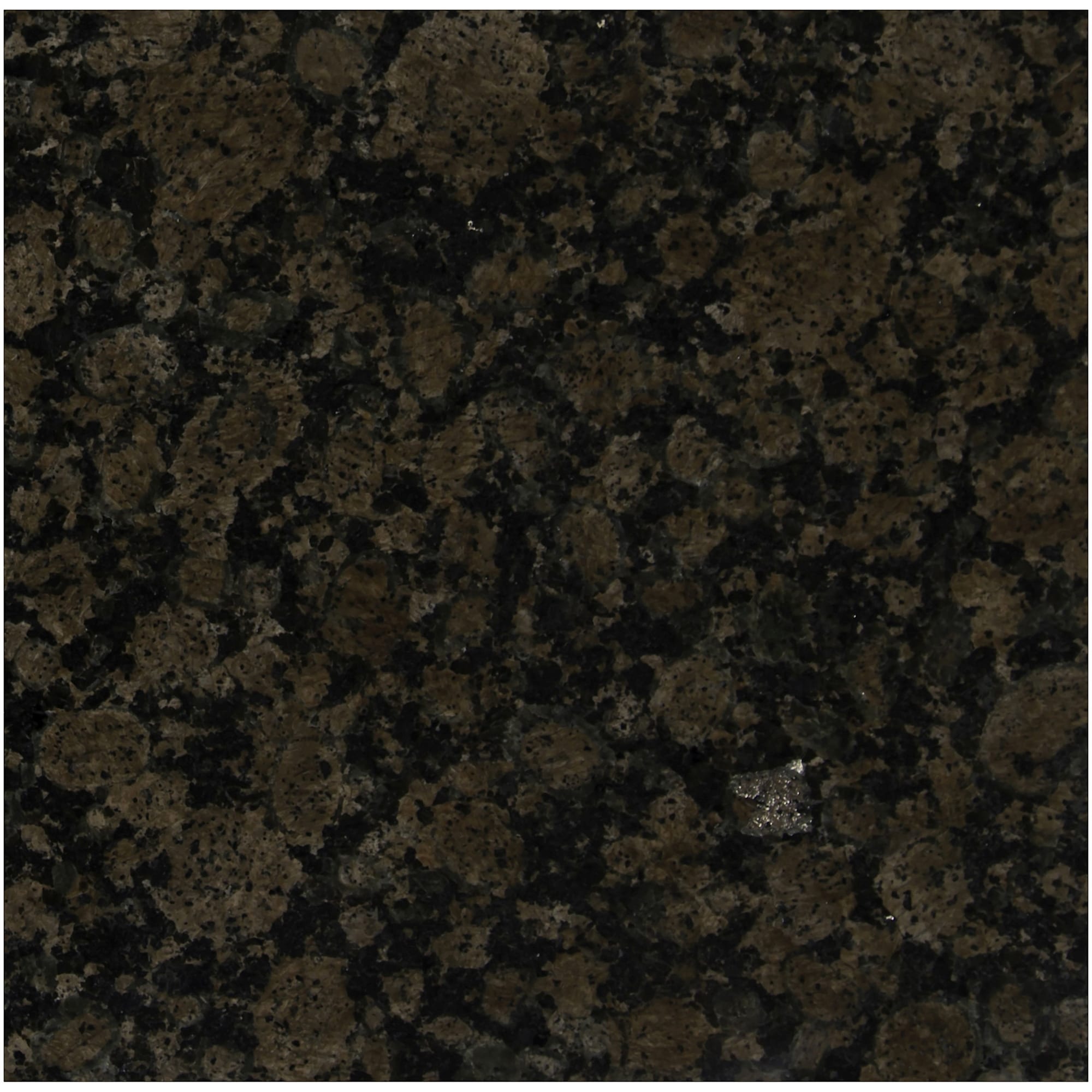 Ackland AKTGT12X12P-CA 12" x 12" Granite Terrazzo Floor and Wall Tile
