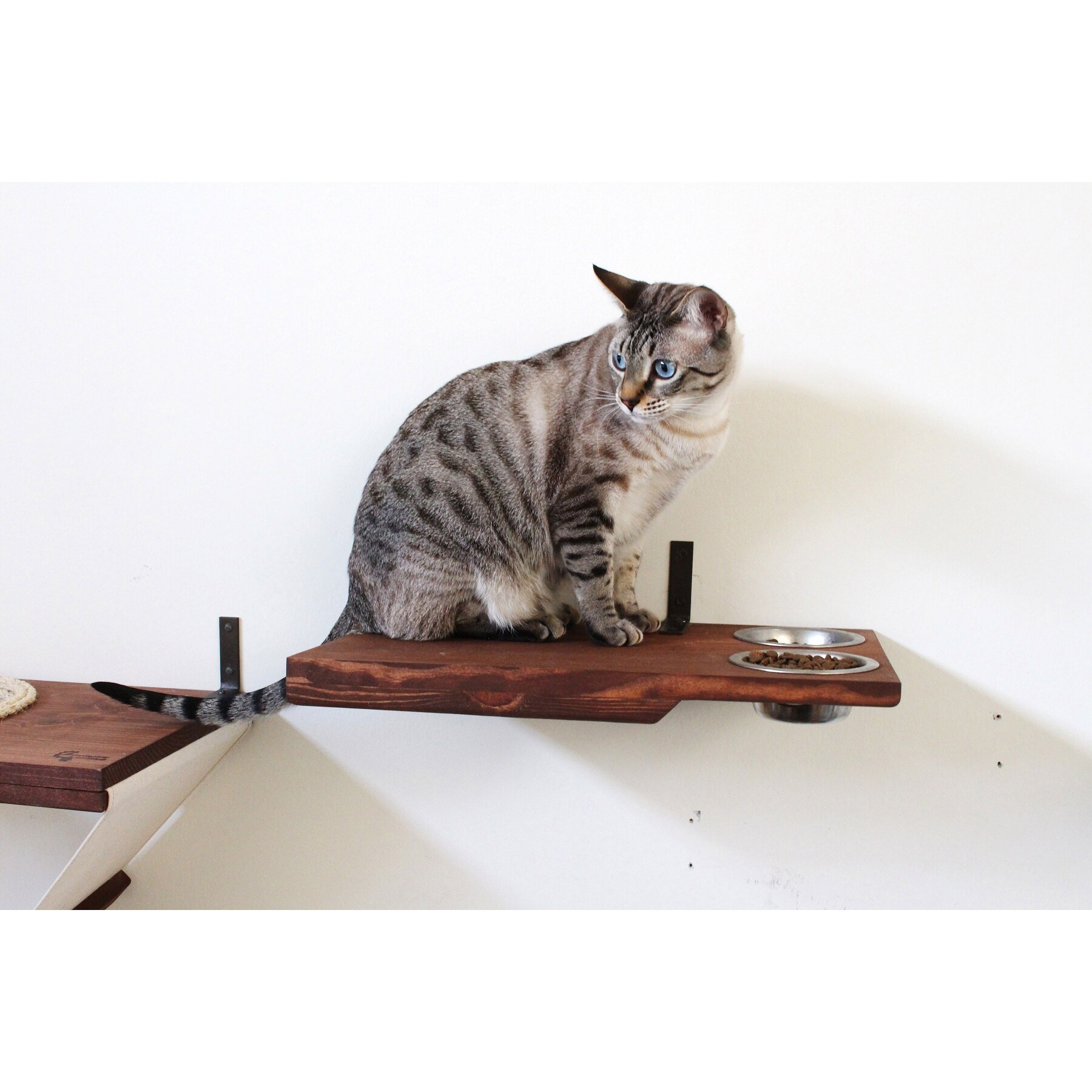 Shop Cat Dining Table Handcrafted Wall Mounted Feeder Shelf