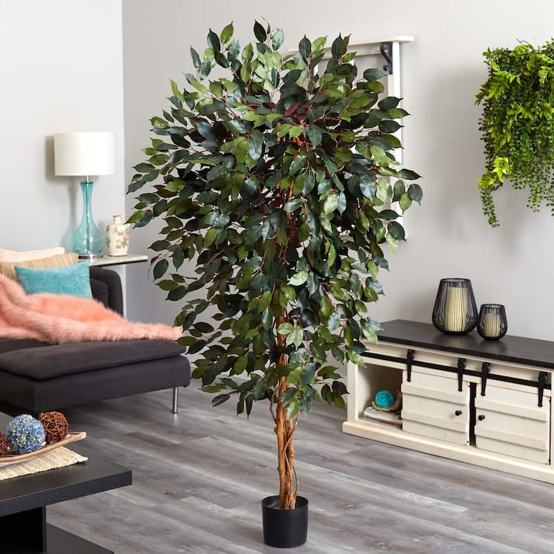 Artificial Tree 6Ft Antique Capensia - Indoor Outdoor Decor, Realistic Greenery, Home Office Accent - 6ft.