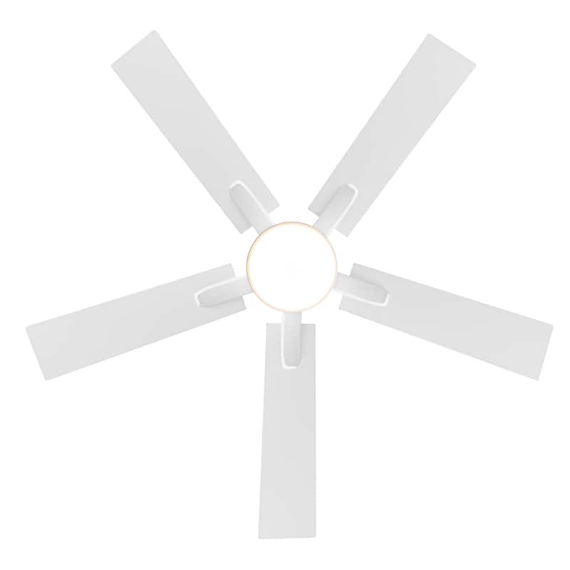 Breezary 52/42-IN LED Ceiling Fan with Light Kit and Remote-5 Blade