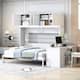 Option White