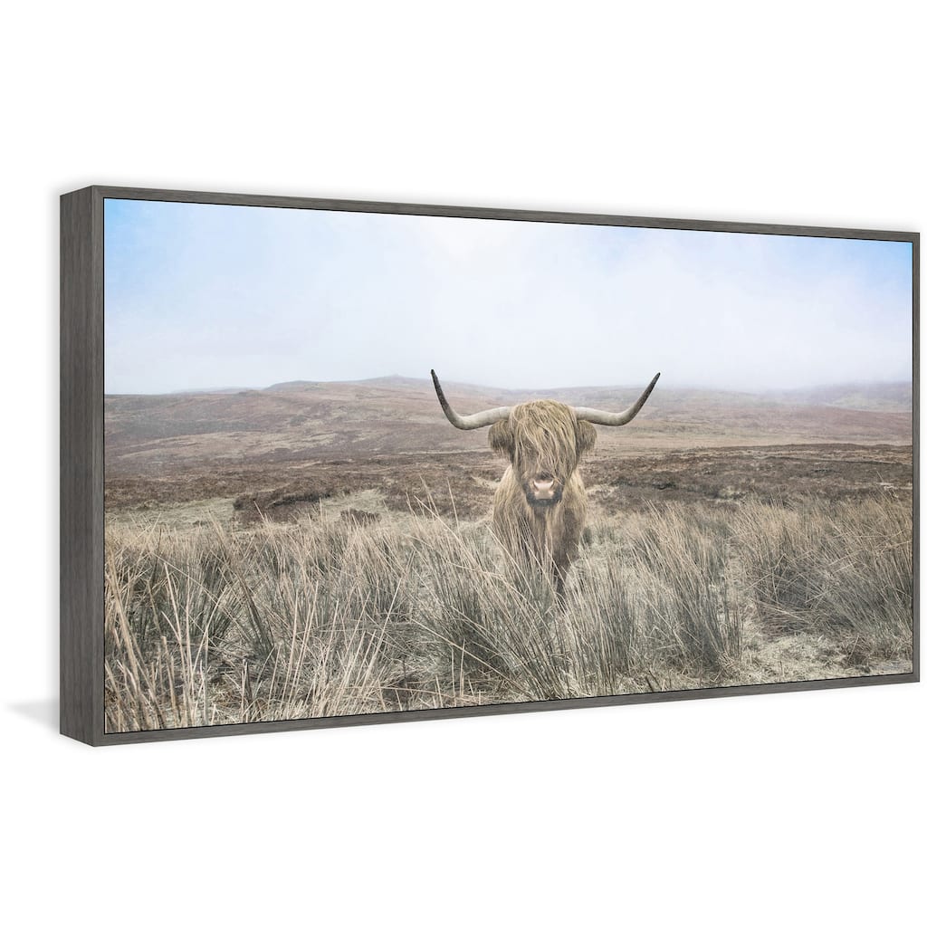Cattle on a Hill Floater Framed Print on Canvas
