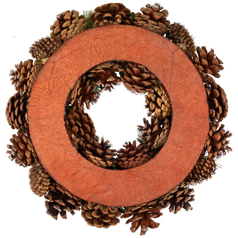 Pinecone, Twig and Thistle Frosted Artificial Christmas Wreath - 13.5" - Unlit