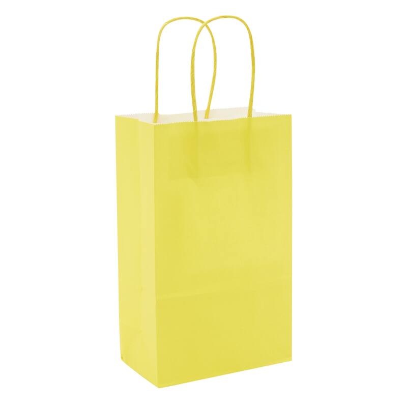 Blue Panda 25 Pack Small Gift Bags with Handles for Presents, Paper Bag