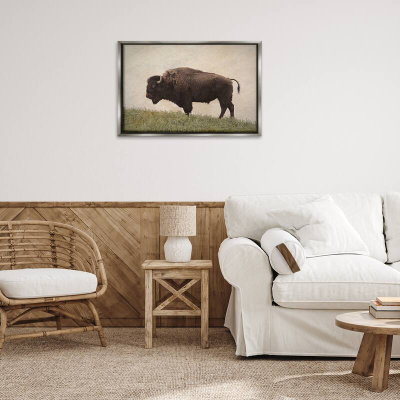 Stupell Serene Buffalo on Country Hill Framed Floater Canvas Wall Art Design By Steve Toole
