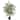 Nearly Natural 3-foot Bambusa Bamboo Silk Tree - Green