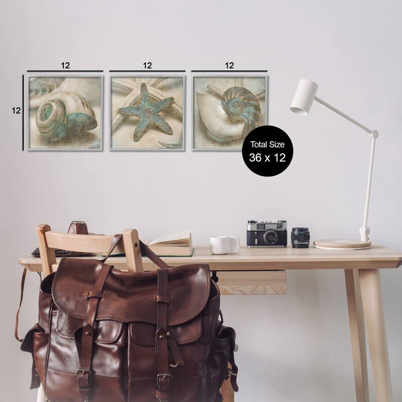 Stupell Star Fish and Sea Shells Distressed Texture Blue Tan Design ,3pc Multi Piece Framed Wall Art Set