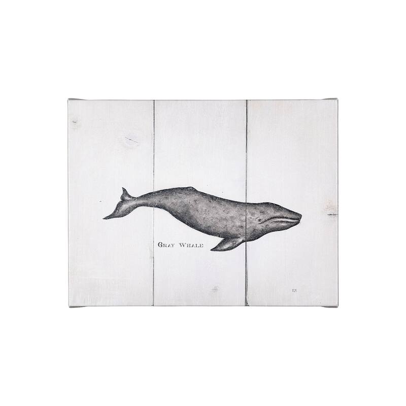 Gray Whale (26 x 20) Canvas Art Print - Small