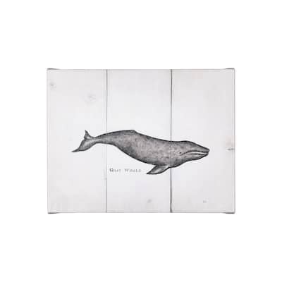 Gray Whale (26 x 20) Canvas Art Print