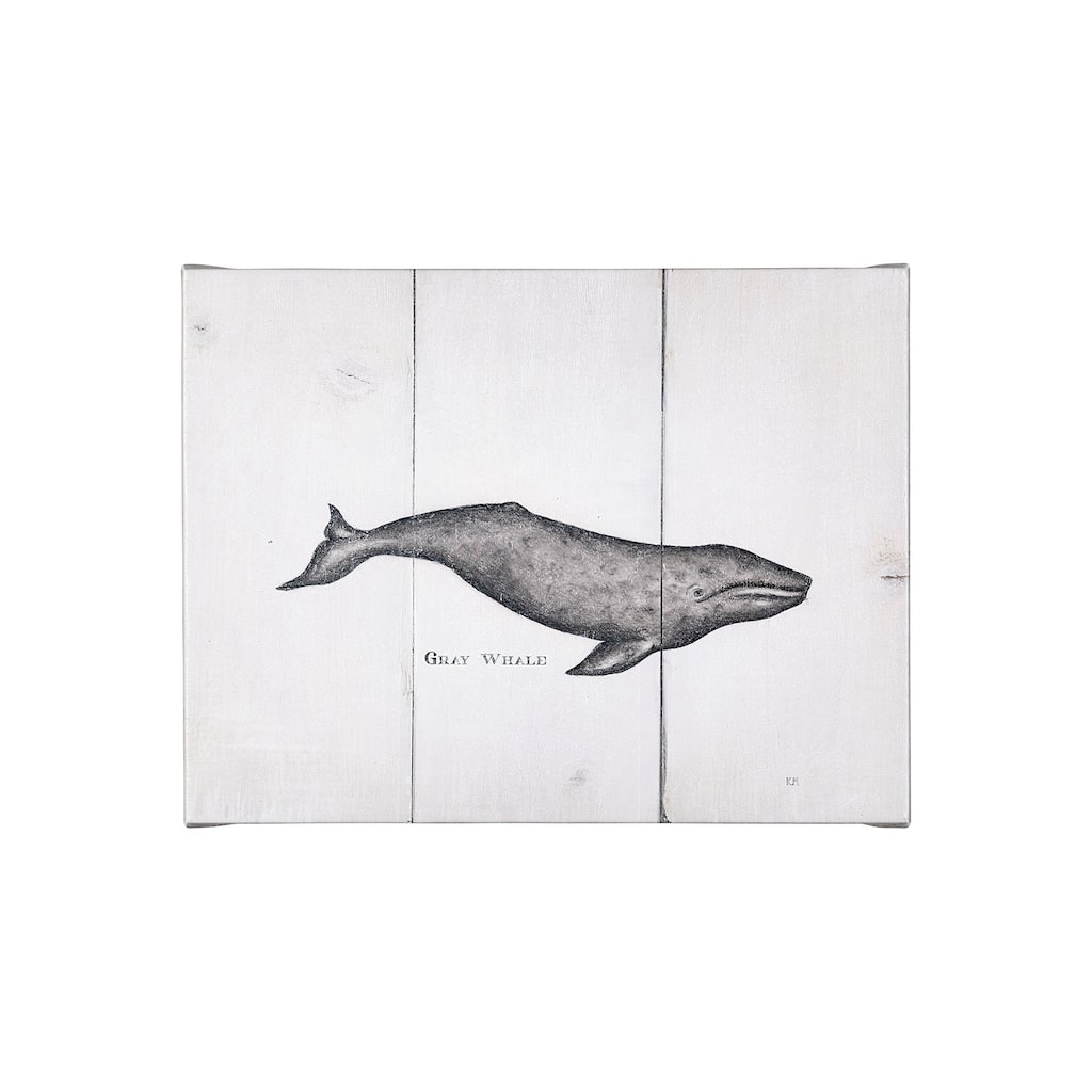 Gray Whale (26 x 20) Canvas Art Print