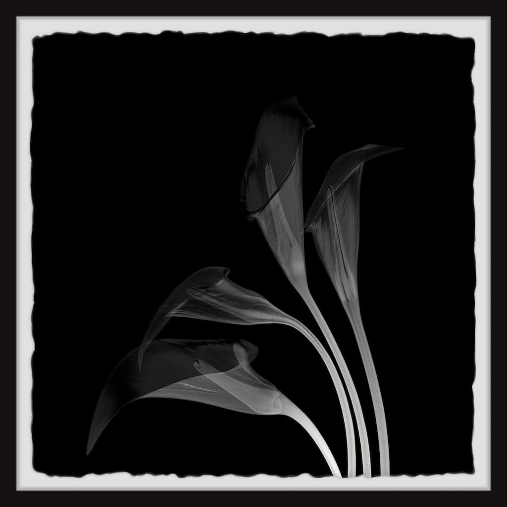 Lovely Lillies Framed Wall Art, Elegant Home Touch - Sophisticated Artwork for Refined Décor