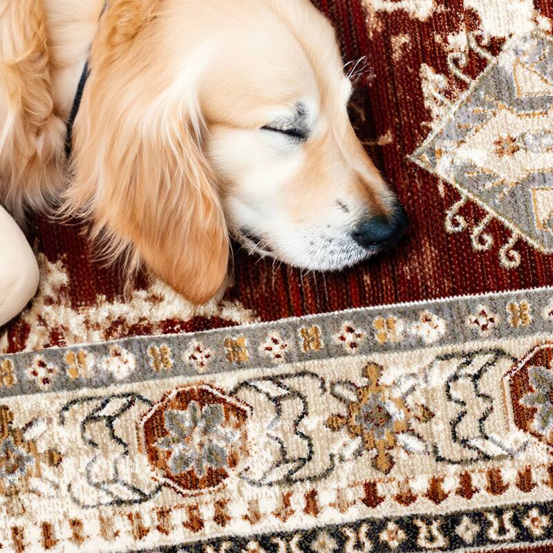 Sydney Collection - Red Cream Taupe Distressed Traditional Oriental Area Rug