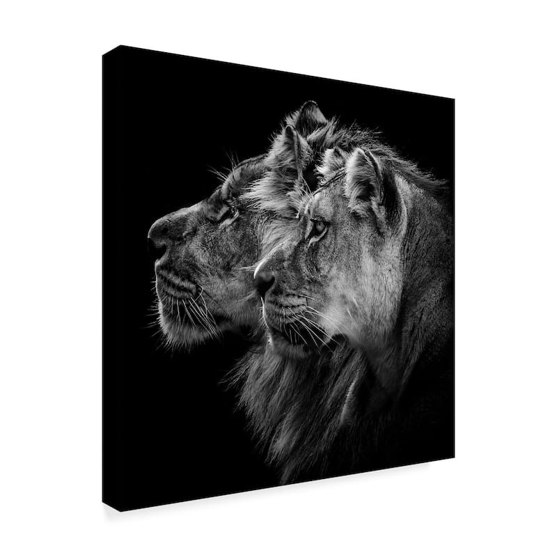 Laurent Lothare Dambreville 'Lion And Lioness Portrait' Canvas Art