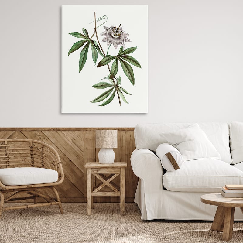 Stupell Vintage Circular Bloom Canvas Wall Art Design By CAD Designs