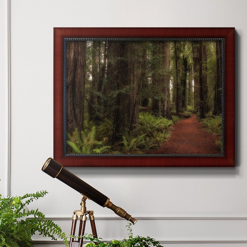 A Walk in the Woods I Premium Framed Canvas- Ready to Hang