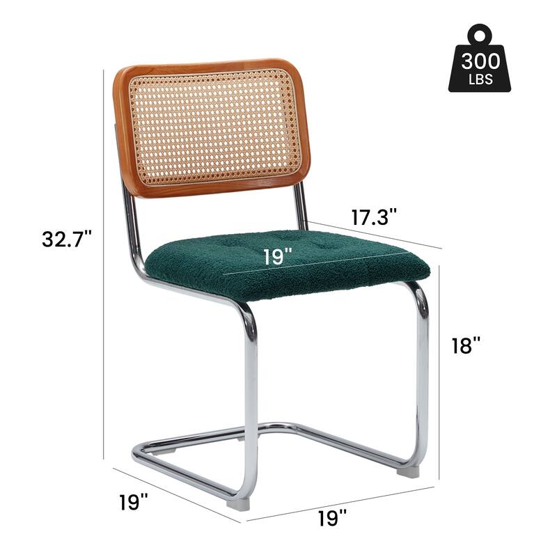 Dining Chairs Set of 2,Mid-Century Modern Chair Armless Mesh Backrest Cane Rattan Chairs for Home Dining Room