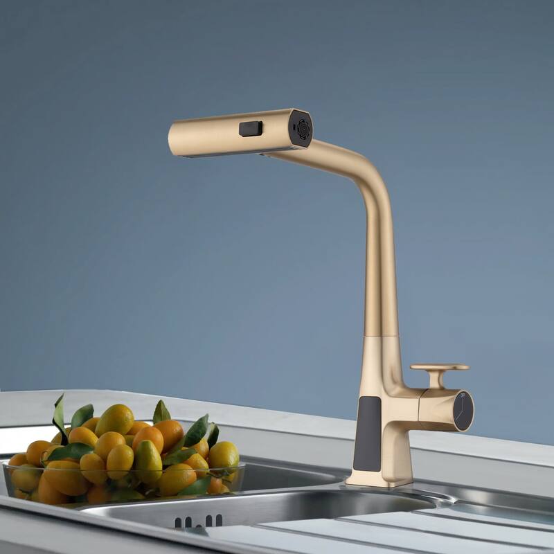 Topcraft Stainless Steel Pull Down Kitchen Faucet