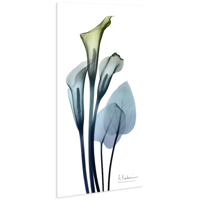 "Calia Lily" Frameless Free Floating Tempered Glass Panel Graphic Wall Art