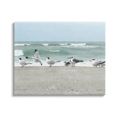 Stupell Birds Gathering On Shore Rolling Ocean Waves Canvas Wall Art by Christine Zalewski