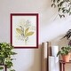 preview thumbnail 116 of 138, The Minimalist Garden II -Framed Print w/glass-Cherry Red