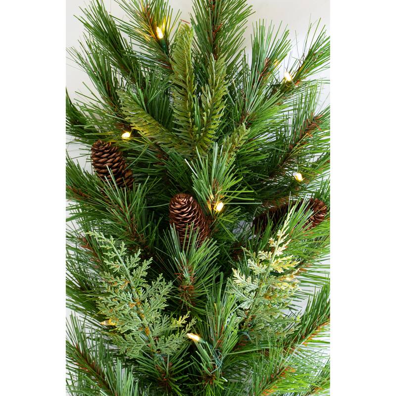 6' or 9' Mixed Mountain Cypress B/O Garland w/WW & Multi LED Lights