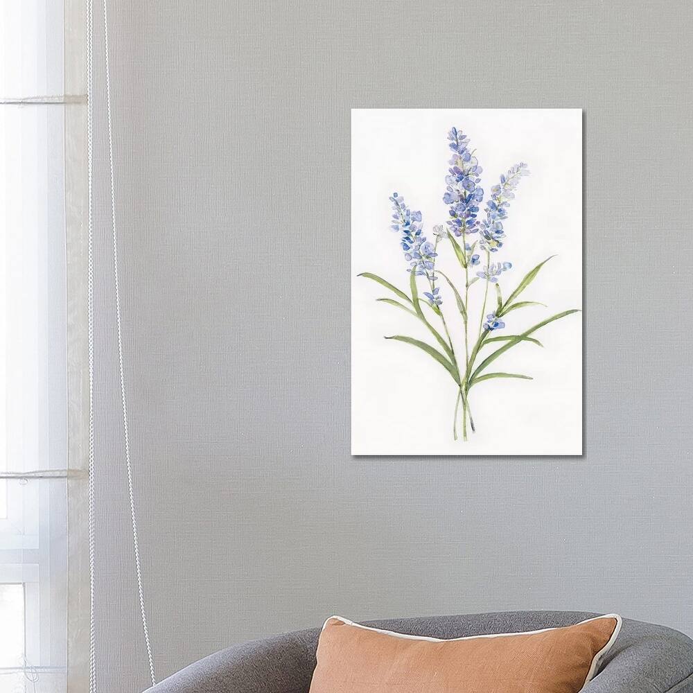 iCanvas "Dainty Botanical Lavender" by Sally Swatland Canvas Print