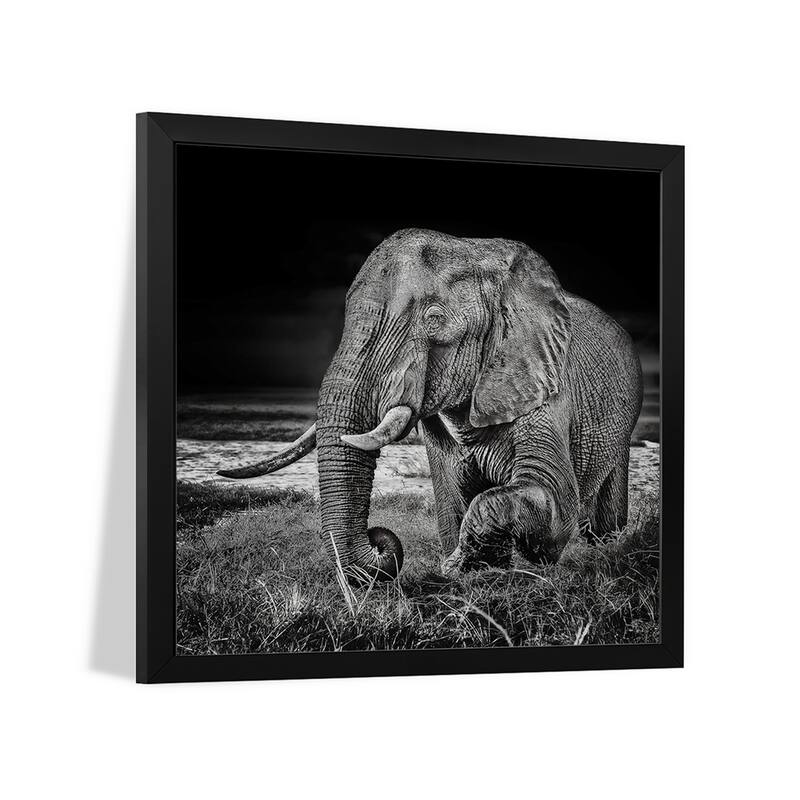 Sunset At The Waterhole Premium Framed Poster by Piet Flour