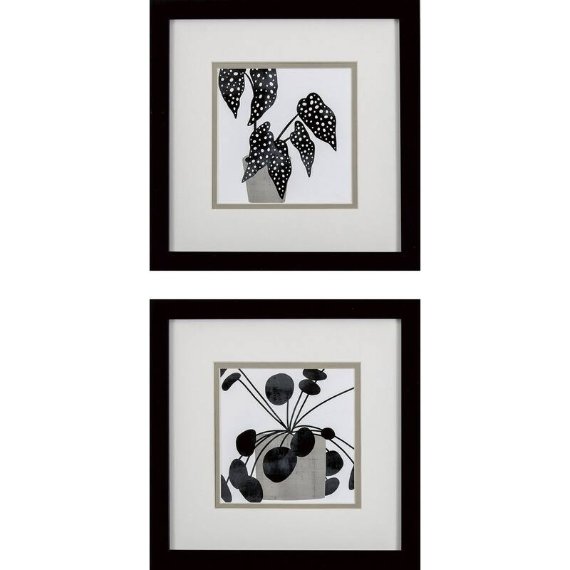 Plantling B S/2 Framed Art Under glass - 11 X 11 X 1