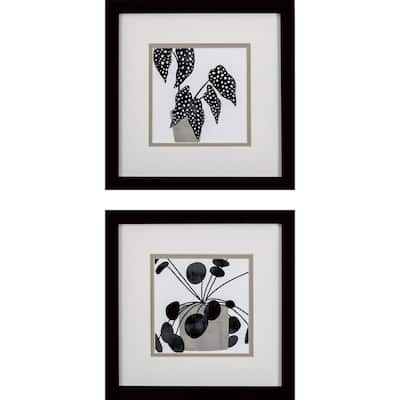Plantling B S/2 Framed Art Under glass