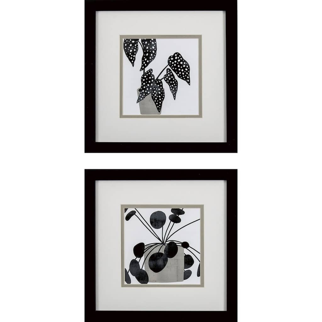 Plantling B S/2 Framed Art Under glass
