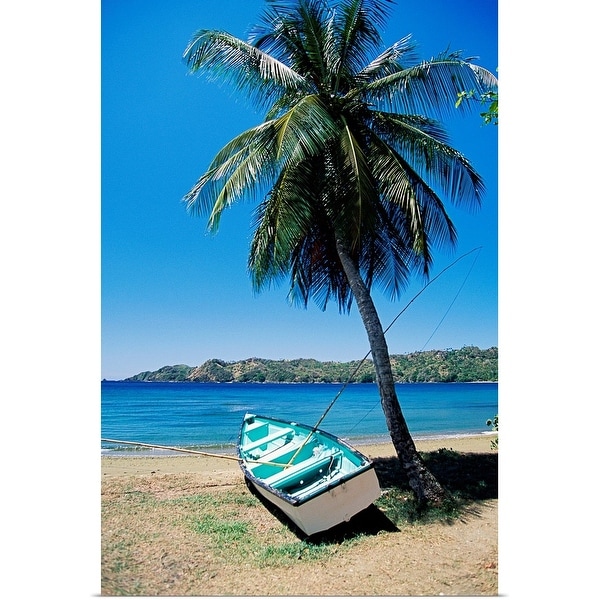 "Boat and palm tree, Tobago, Caribbean" Poster Print