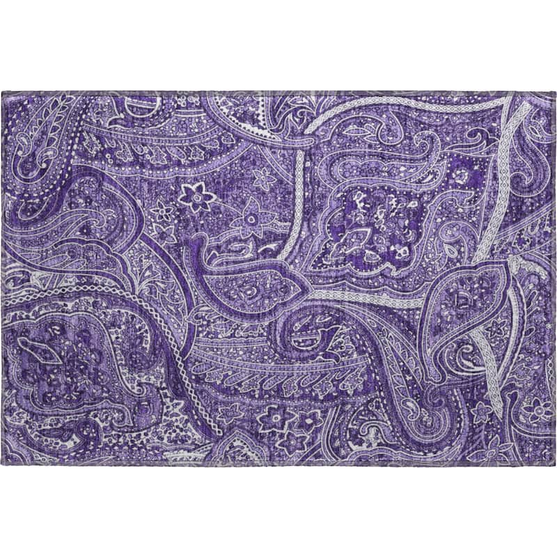 Premium Washable Super Soft Traditional Paisley Mayfield Rug