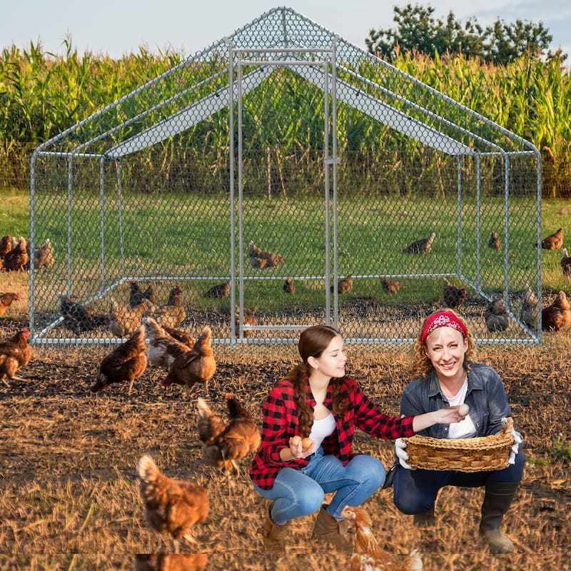 Large 20 x 10 ft Metal Chicken Coop, Waterproof Cage for Farm