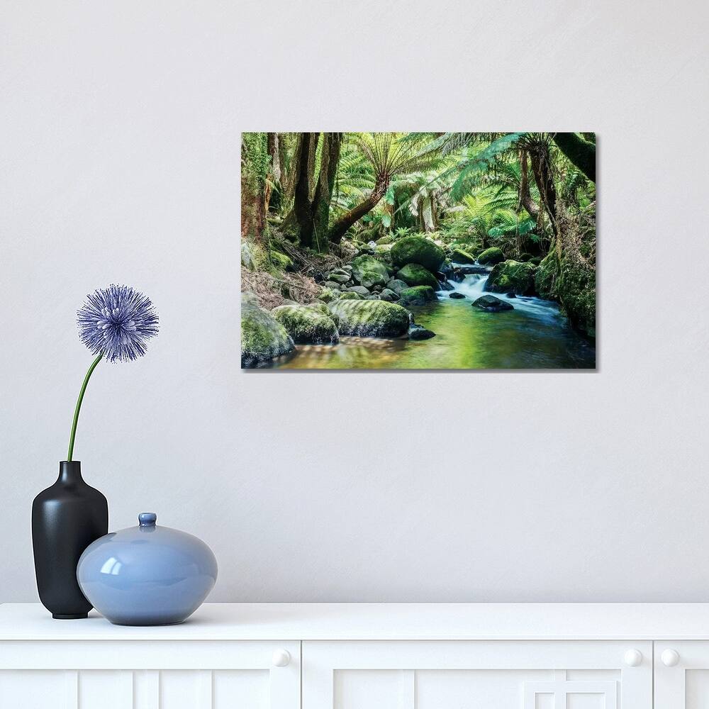 iCanvas "River In The Tasmanian Rainforest" by Matteo Colombo Canvas Print