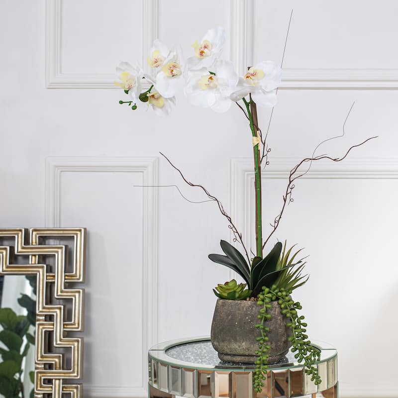 Single-stem Artificial Real Touch Silk Orchid with Succulents in Grey Cement Pot - 23.23" H x 12.2" W x 10.04" D