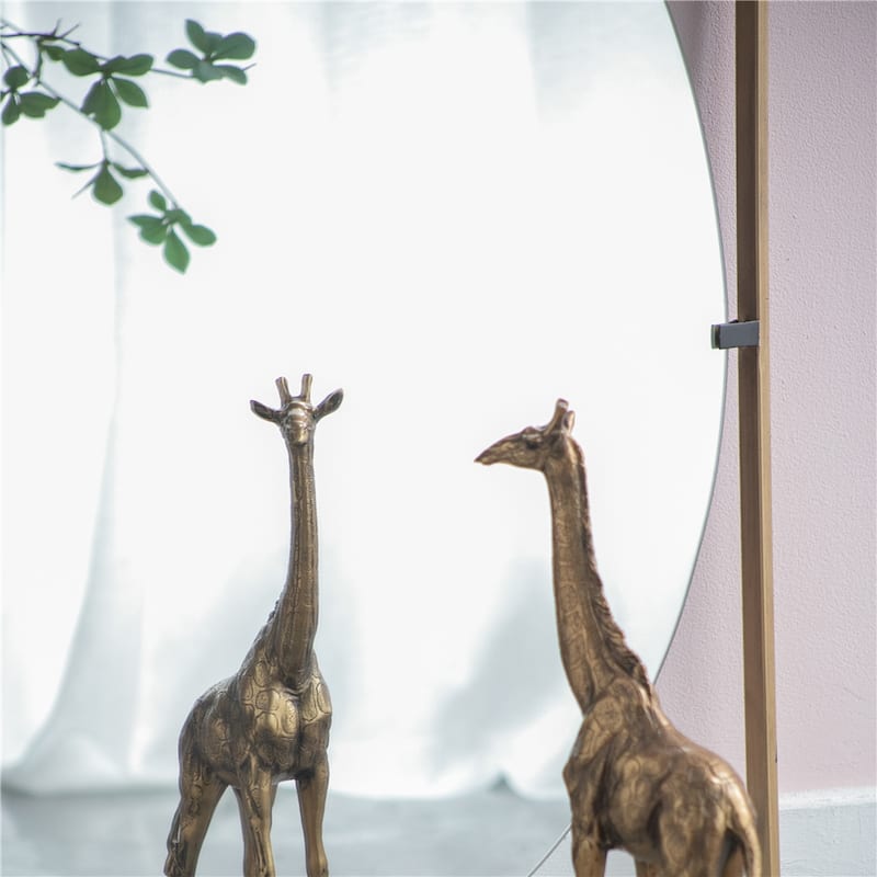 Metal Frame Contemporary Design Mirror for Bathroom