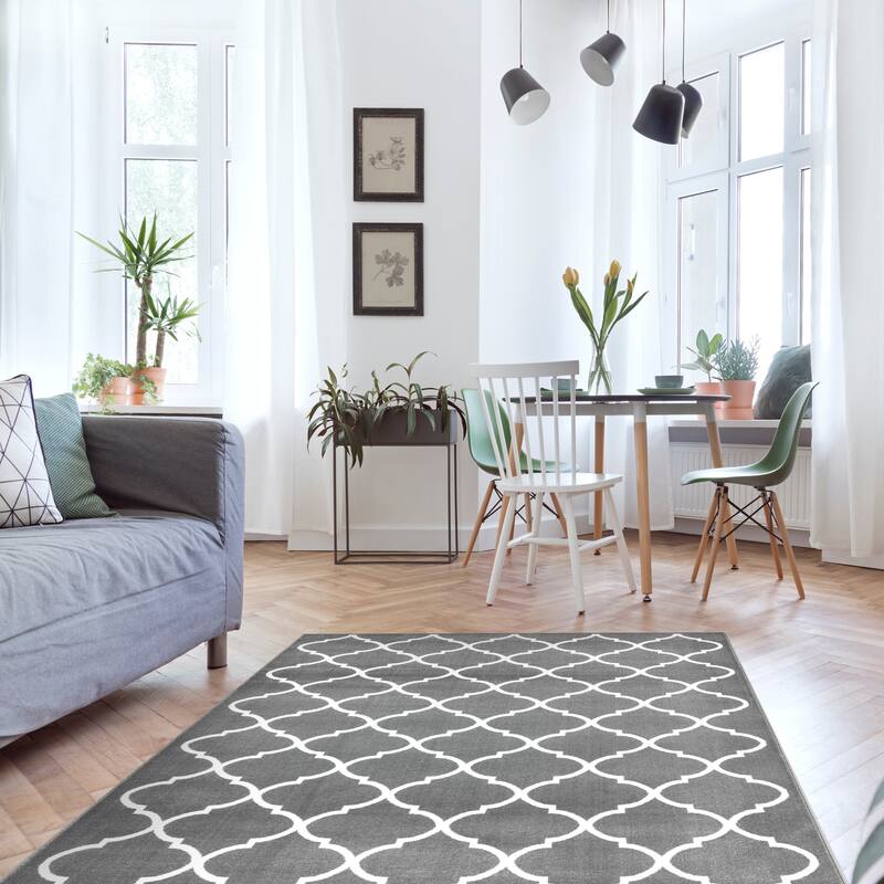SUSSEXHOME Area Rugs Modern Desing for Living Room 4 x 6 Gray/White - 4' x 6'