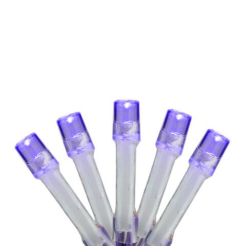 15-Count B/O Purple LED Micro Christmas Lights - 4.8 ft Purple Wire