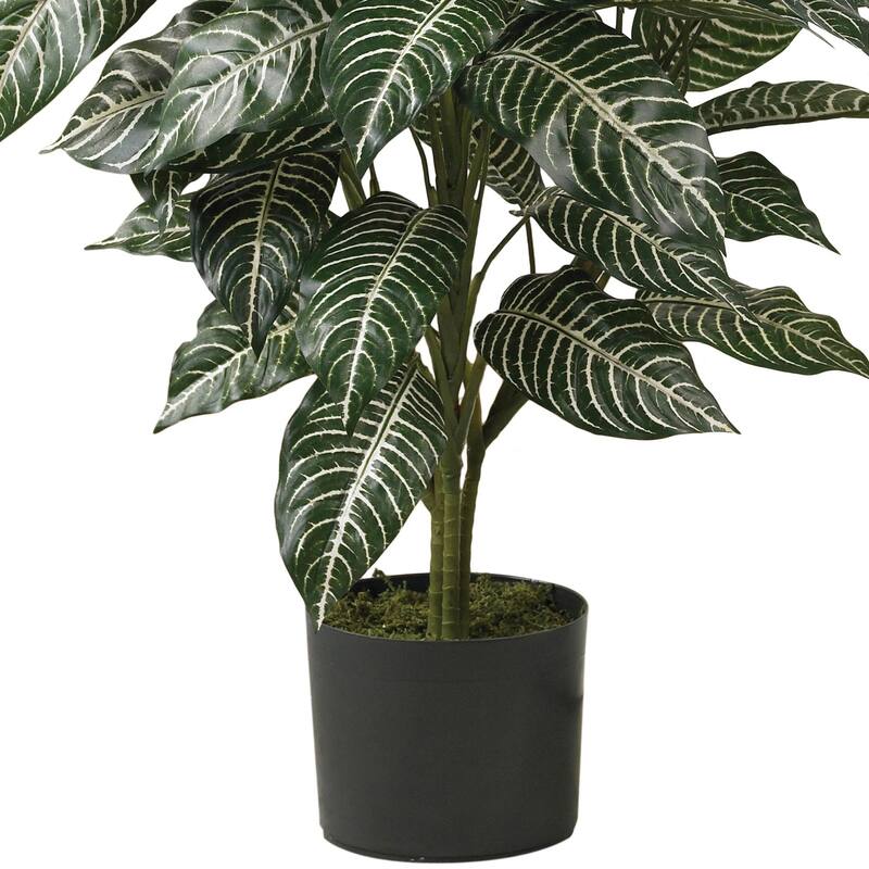 Zebra Silk Plant 3ft - Tropical Floor Plant Decor, Realistic Faux Plant, Indoor Greenery, Easy Care Home Accent - 3ft.