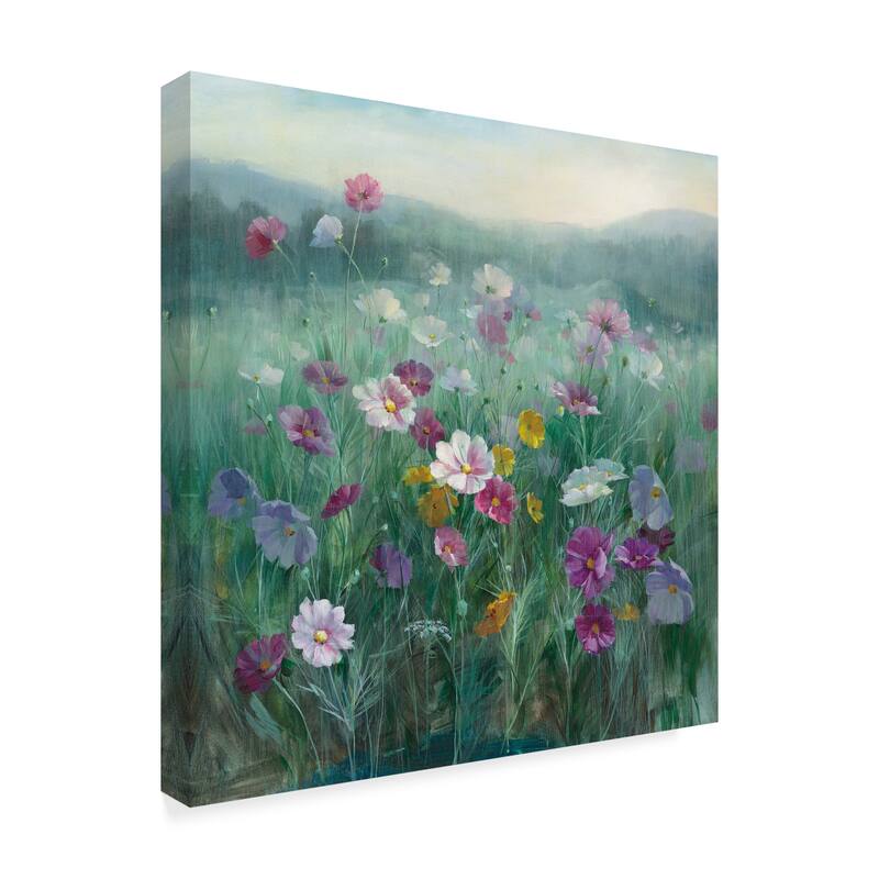 Danhui Nai 'Cosmos at Dawn' Canvas Art