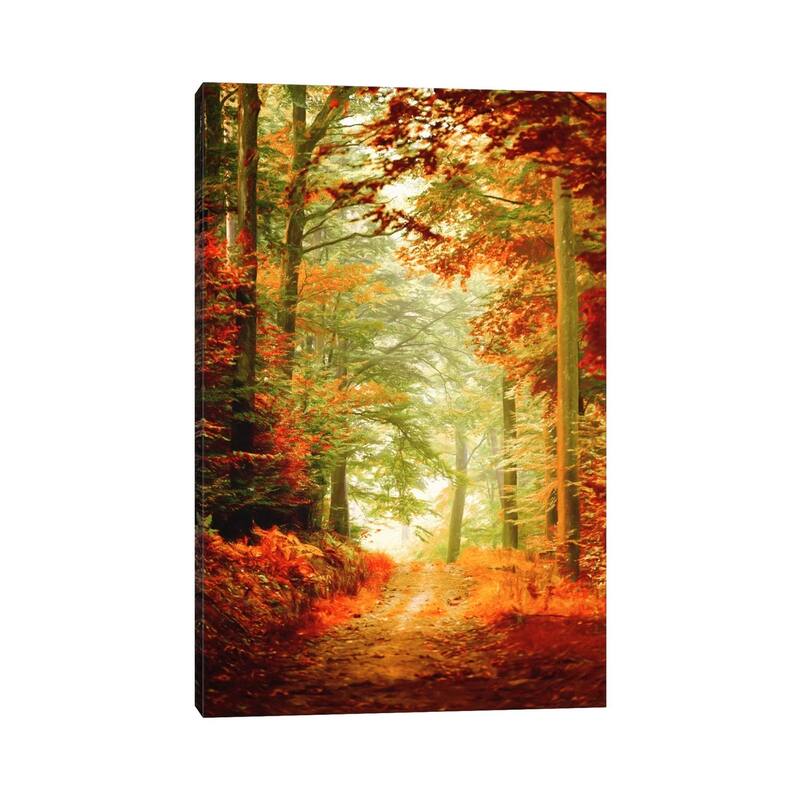 iCanvas "Fall Painting" by Philippe Sainte-Laudy Canvas Print