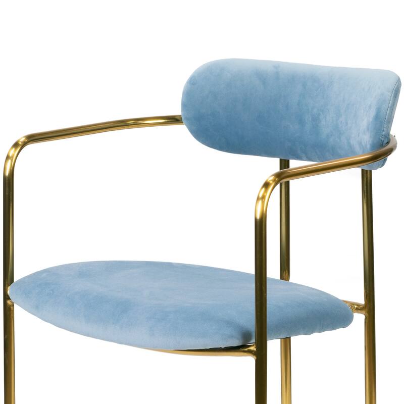 Set of 2 Anaya Light Blue Velvet Dining Chair