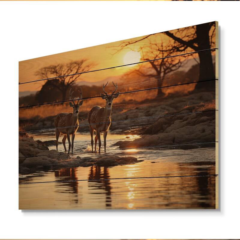 Designart "Africian Deer" Animals Print on Natural Pine Wood