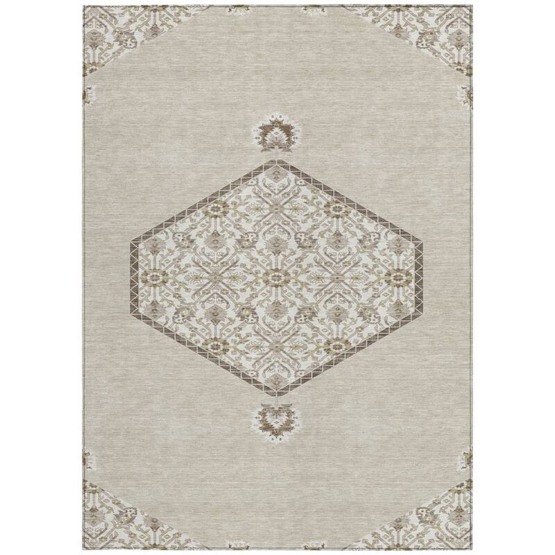 HomeRoots Oriental Traditional Rectangle Outdoor Rug