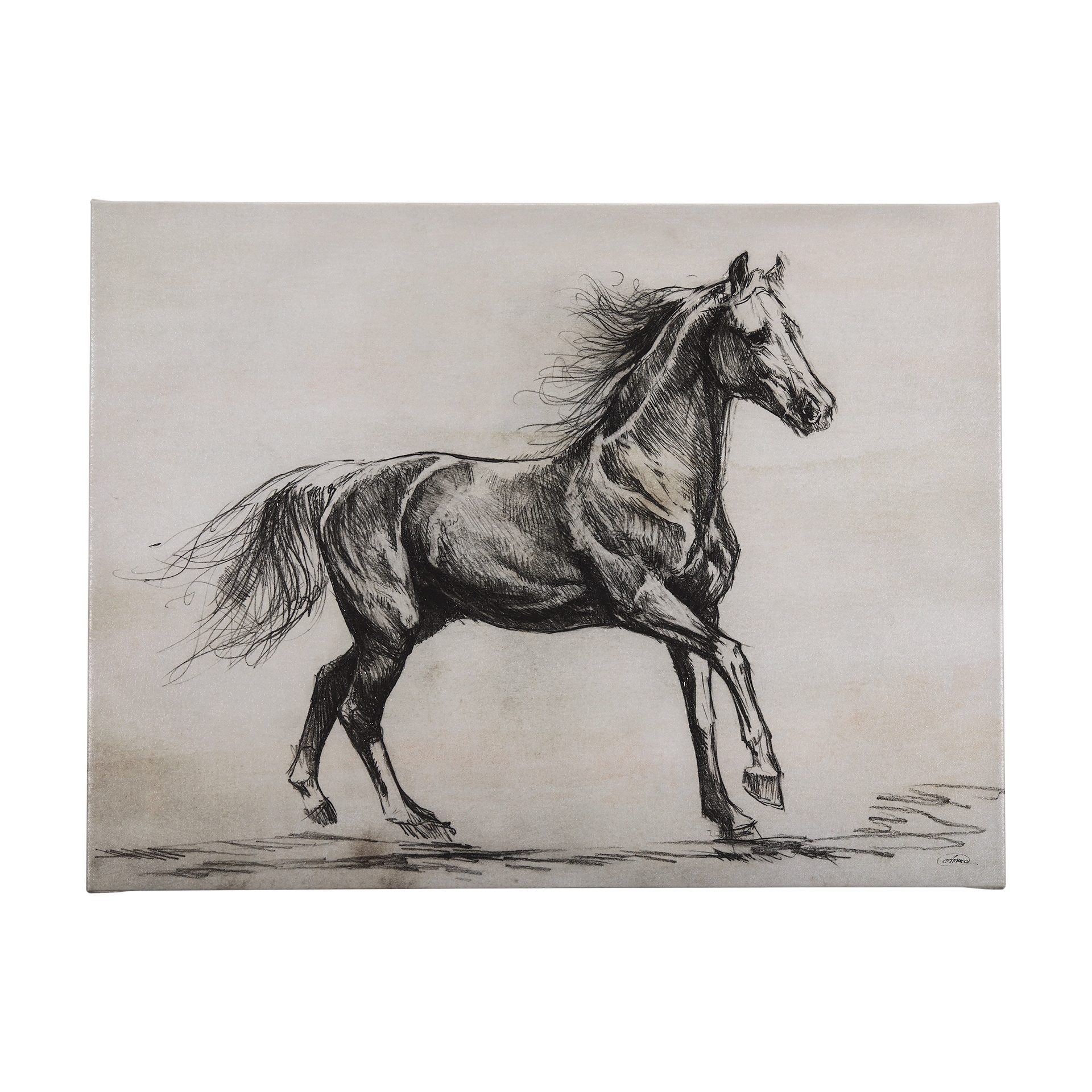 Mercana Old West Collection V (Horse Sketch) (40 x 30) Canvas Art Print
