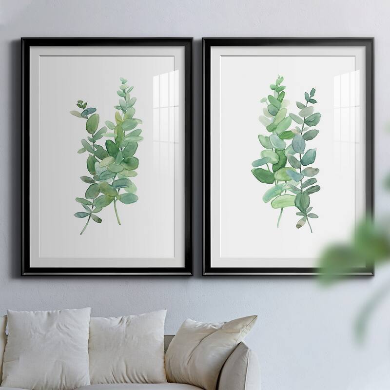 Eucalyptus I Premium Framed Print - Ready to Hang